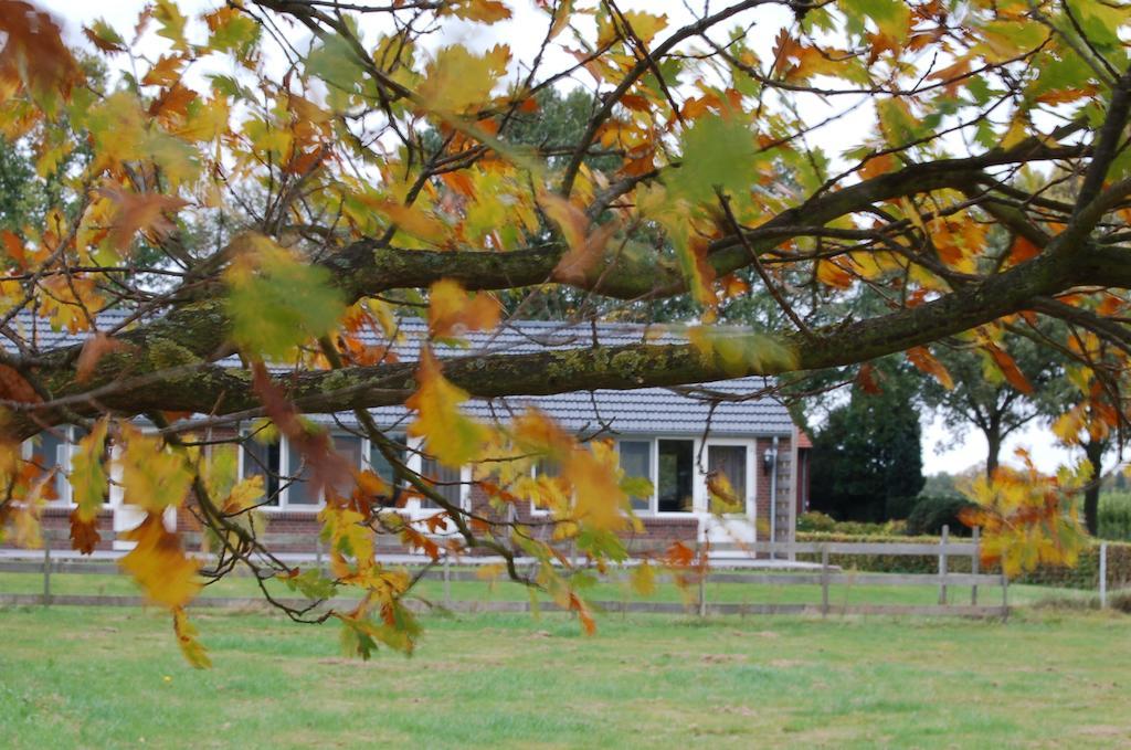 B&B Roodbeekerhof Vlodrop Exteriör bild