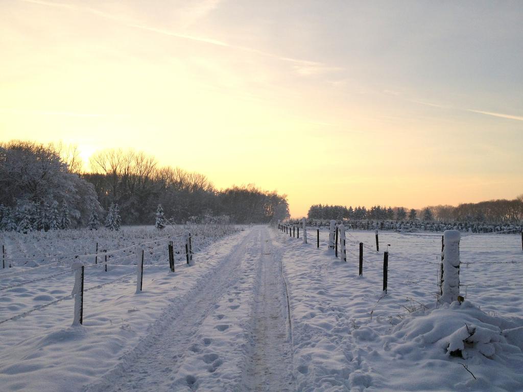 B&B Roodbeekerhof Vlodrop Rum bild